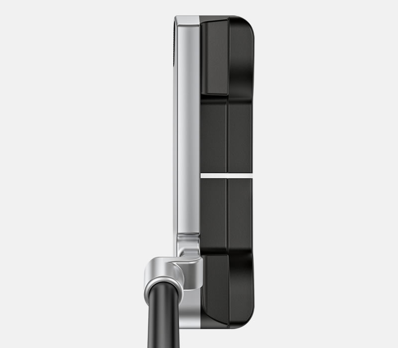 address view of New PING Anser putter